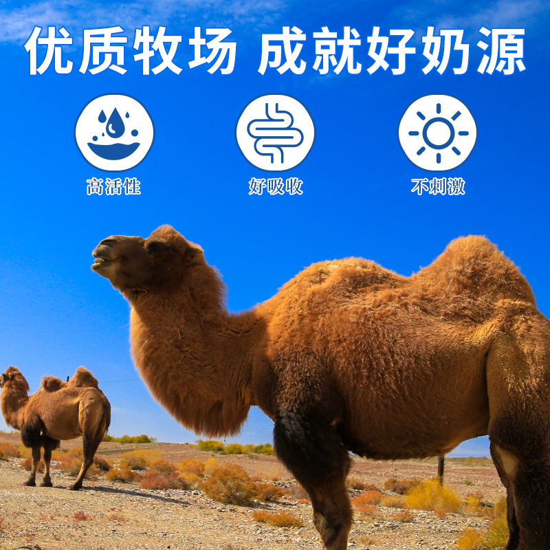 朝阜駝奶鈣片正品益生菌鈣片兒童青少年中老年一件代發(fā)源頭工廠OEM代加工