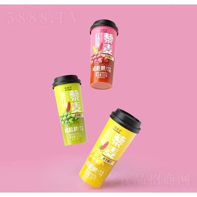 格蕾美粗糧飲料谷物飲料招商藜麥風味飲料320克OEM代加工