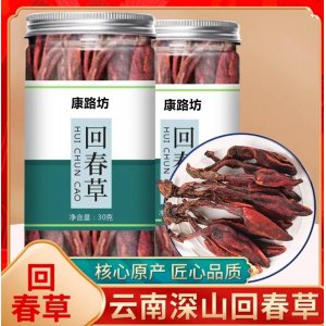 野生回春草 不老草 草蓯蓉 頂天柱 泡酒煲湯滋補批發(fā)零售一手貨源
