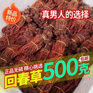 云南回春草野生500克 新貨正品擎天柱回春草批發(fā)價 干貨 一手貨源
