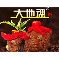 成都大地魂酒業(yè)有限公司