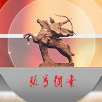 河南省張弓酒業(yè)有限公司