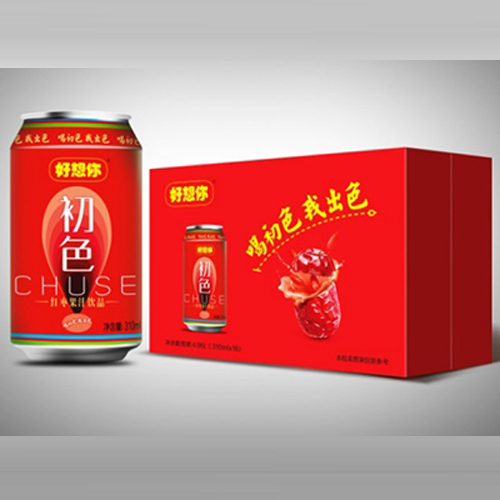 好想你初色紅棗汁箱.jpg