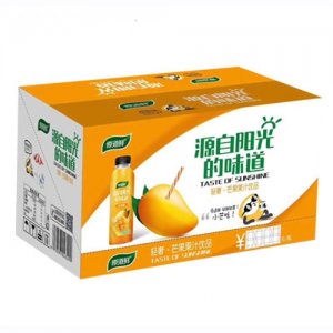 原道鮮芒果果汁飲品（箱）