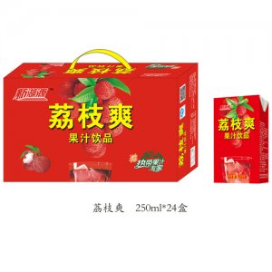 新湖源24盒荔枝爽