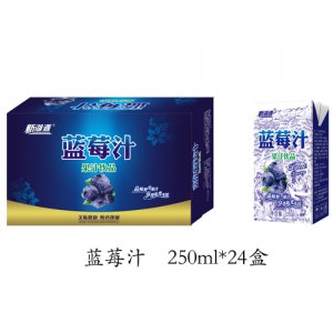 新湖源24盒藍(lán)莓汁