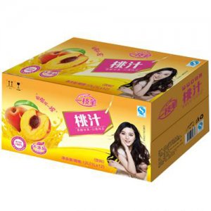一枝筆桃汁1L×12盒