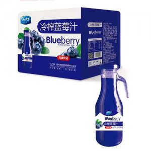誠(chéng)聯(lián)天下手柄冷榨藍(lán)莓汁