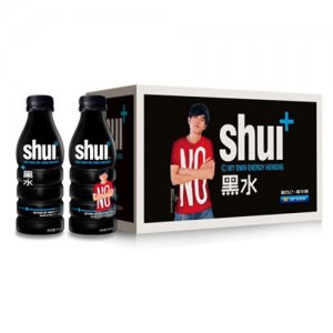 慧仁堂調(diào)味型黑水飲料500mlx15