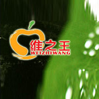 山西維之王食品有限公司