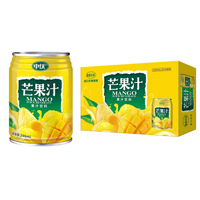 圣元飲品（山東）有限公司